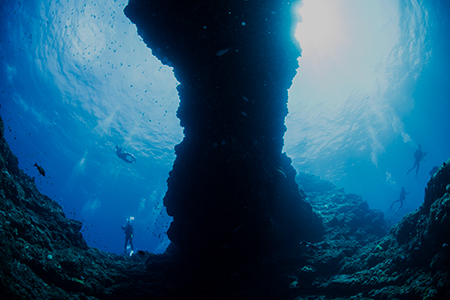 「Hachijyo / 八丈島 ウィークエンド・ダイビング最強説」より（写真：関戸紀倫氏） 