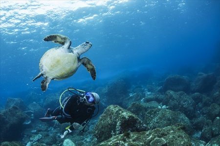 台風22号・23号で被災の八丈島、ダイビング再開は？最新状況と義援金情報