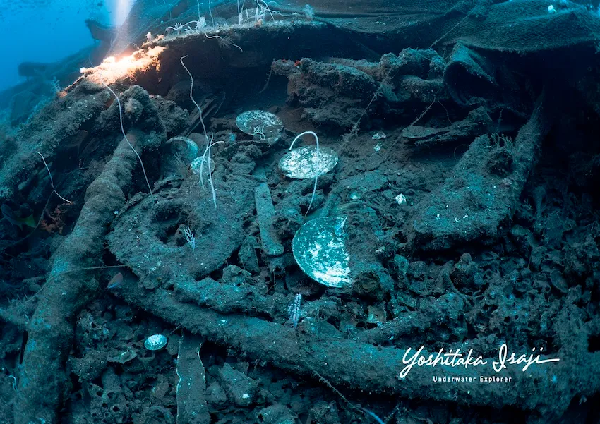 撮影：伊左治氏