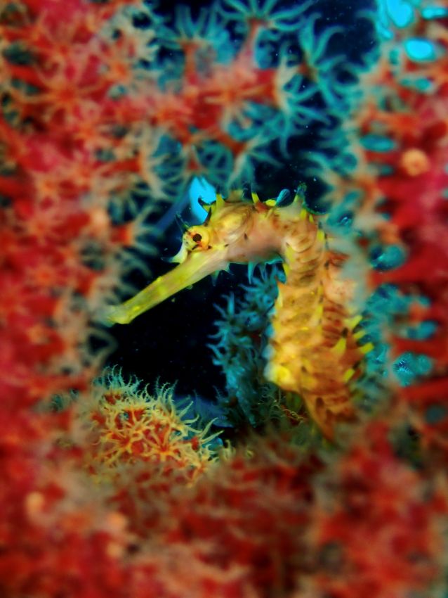 受賞者：今井康太 氏  
作品名：「龍の眼差し」