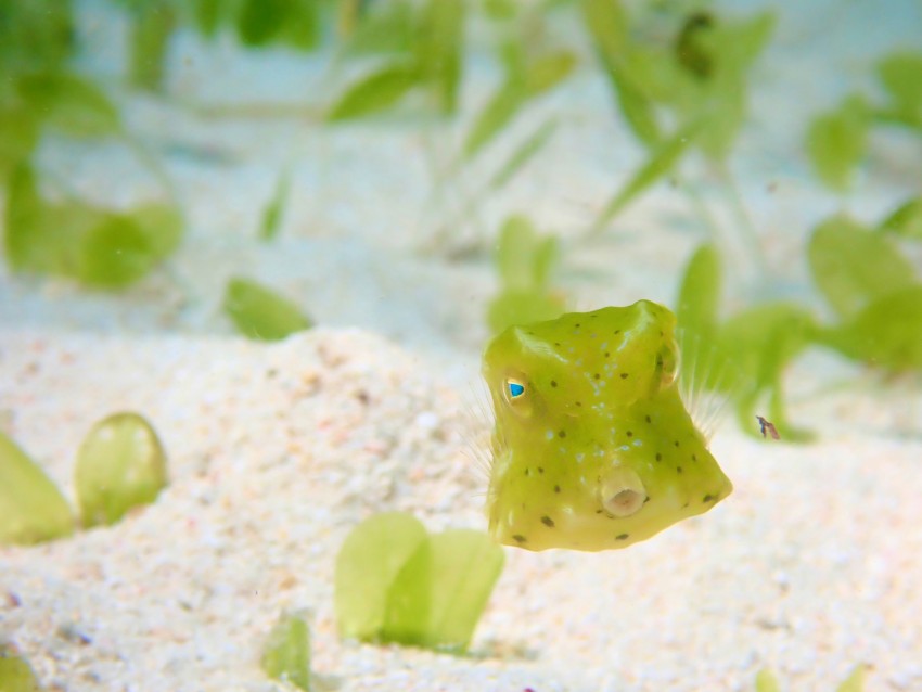 受賞者：仲田琉馬 氏  
作品名：「小さなビーチのかくれんぼ」