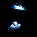 受賞者：青山太河 氏 作品名：「白銀の孤蝶、舞う。」