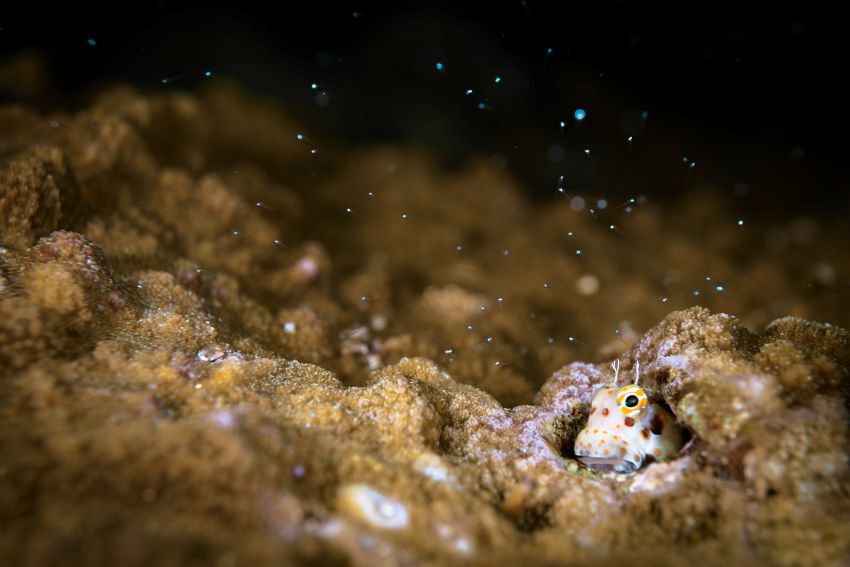 受賞者：加野奏大 氏  
作品名：「祈り」