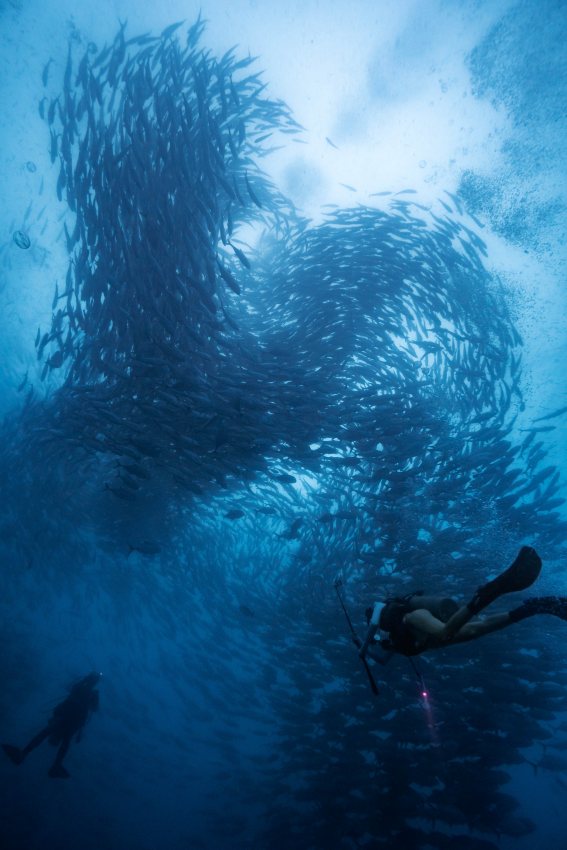 受賞者：早野秀哉 氏  
作品名：「大自然」