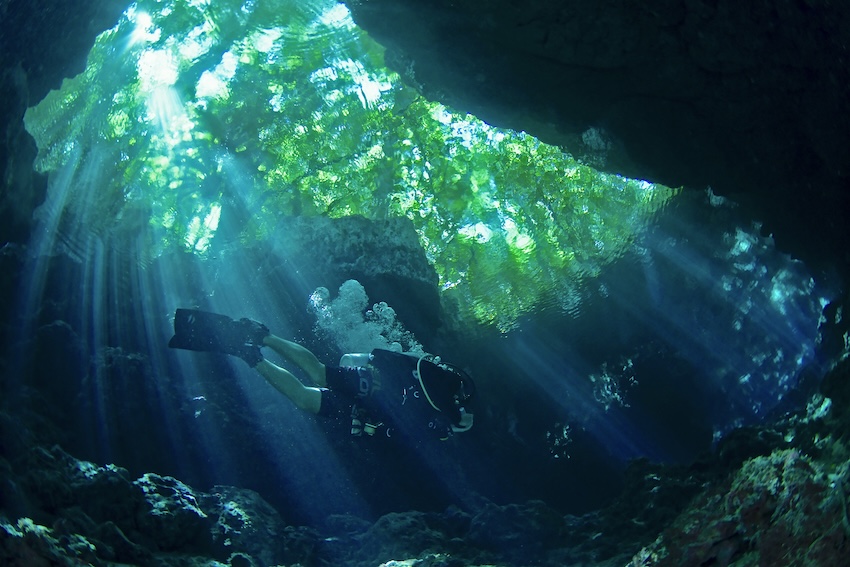 水中写真家・中村卓哉 初のフォトエッセイ『海のメッセージ 地球・人間・時代』を刊行