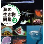 海の生き物図鑑2