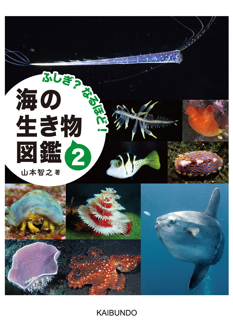 リュウグウノツカイやマンボウなどが登場『ふしぎ？なるほど！海の生き物図鑑2』発売