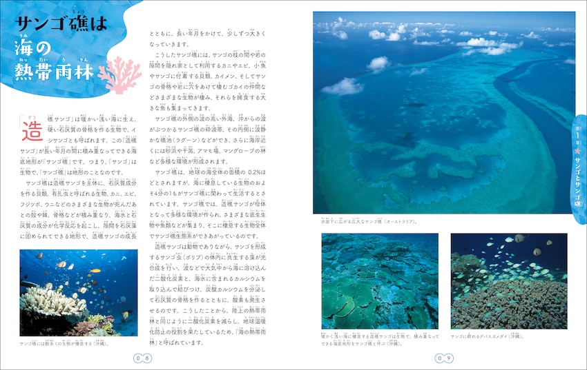 中村庸夫氏が実際に訪れた世界のサンゴの写真とともにその生態を紹介 