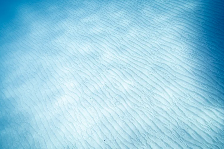 砂紋が美しい砂地（撮影：2025年11月23日）