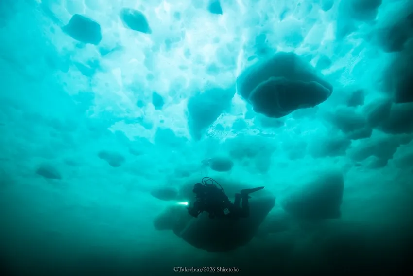 流氷とガイドの茂野氏