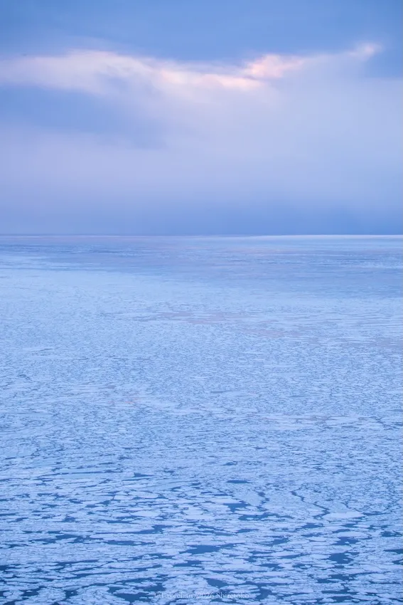 びっしり敷き詰められた流氷