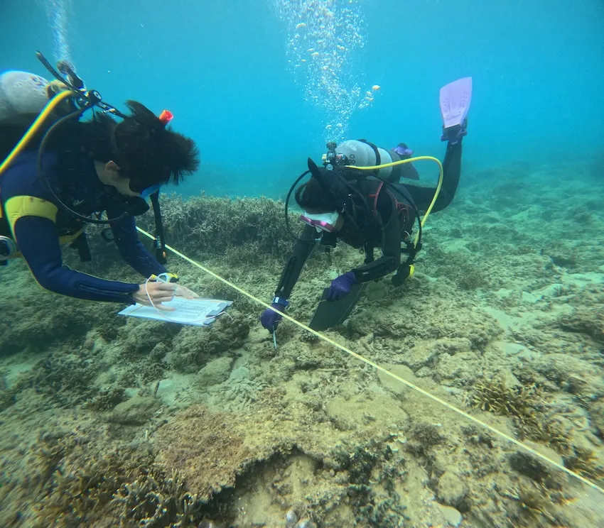 一人が記録する場所を正確に指示し、もう一人がそれを元に記録を行っていく