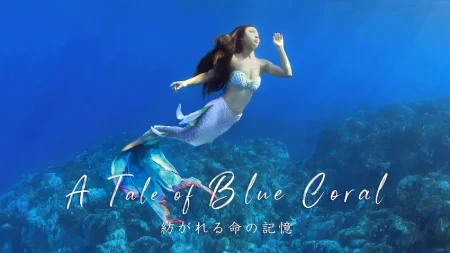 辺野古・大浦湾のアオサンゴ群集を映像作品の舞台に！～マーメイドが紡ぐジュゴンの記憶～