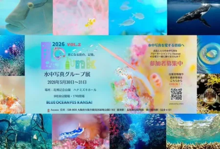 【出展者募集】海の写真でつながる写真展「umiiro＊LINK2026」開催｜Blue Ocean Fes Kansaiと同時開催
