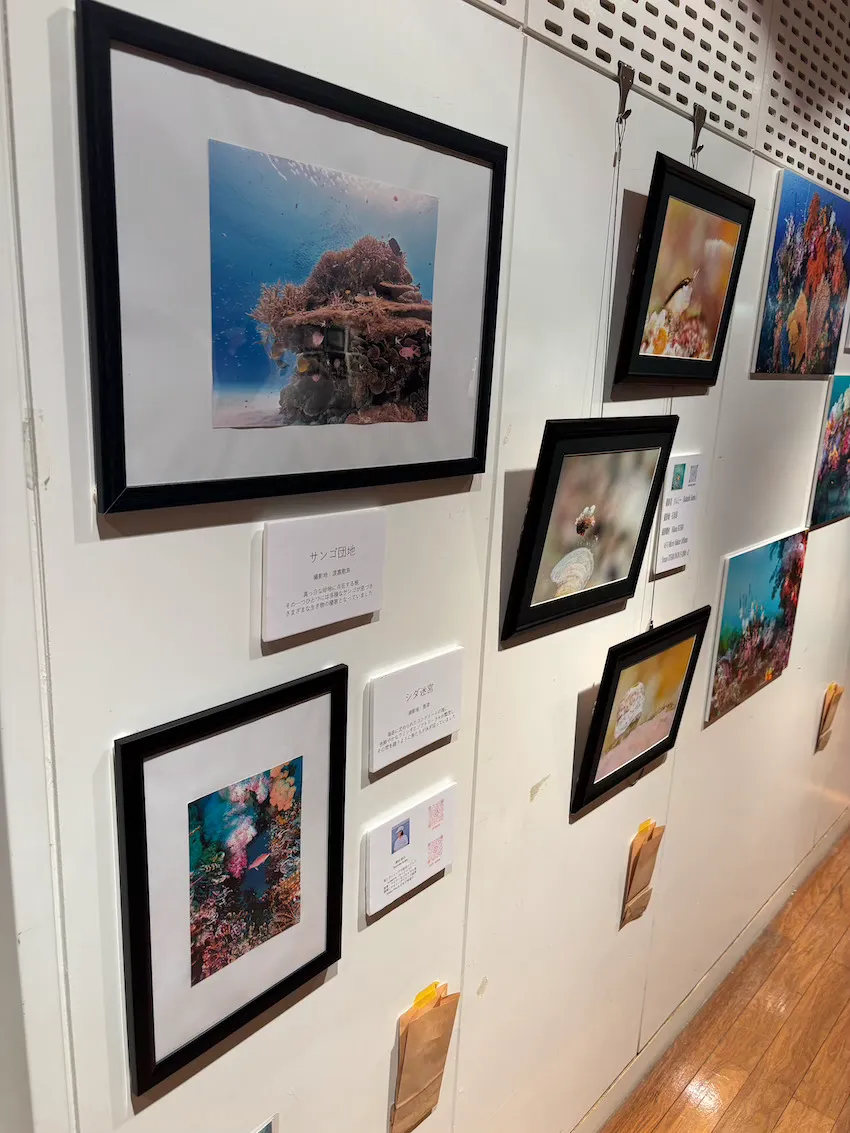 昨年別会場にて行われたLINK。オーシャナ編集部・スイカも初めての写真展示にチャレンジさせてもらった