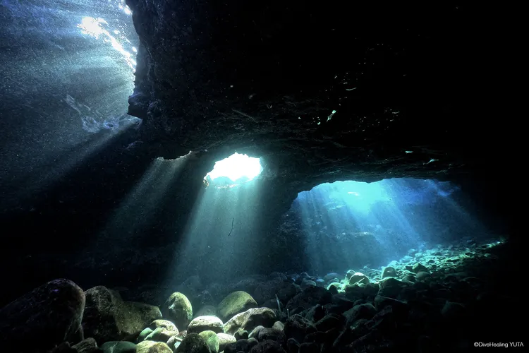 【伊東市ダイビング完全ガイド】富戸・溶岩地形に多くの生物が集うオールラウンダー