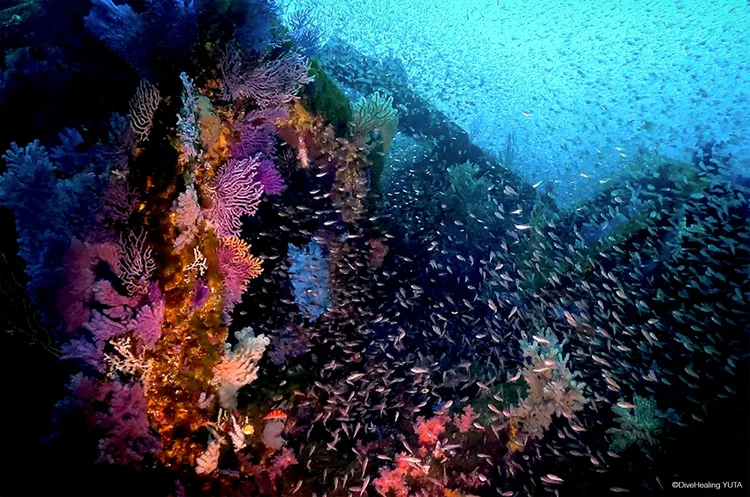 巨大な人工漁礁