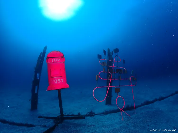 【伊東市ダイビング完全ガイド】伊豆海洋公園・日本ウィッシュウォッチング発祥の地