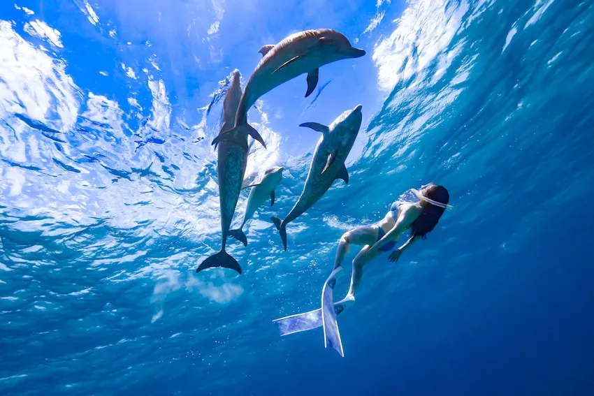 2024年6月4日 バハマ・ビミニ諸島にて(写真/長谷川潤)
