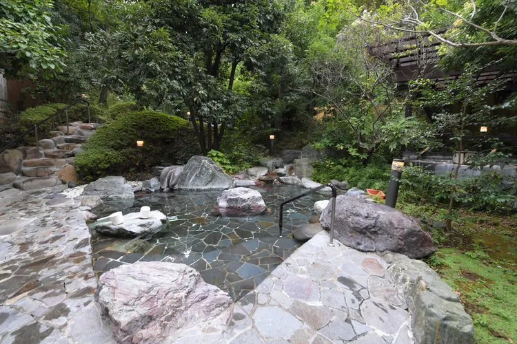 立ち寄り温泉 伊豆高原の湯