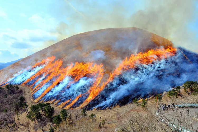 伝統行事、大室山の山焼き