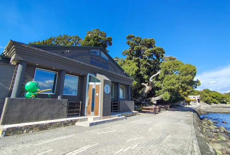 大瀬ダイビングセンター　海童（かっぱ）