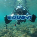 水中でモグリタイロゴを正面に掲げるダイバー