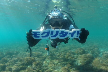 「モグリタイ」事前登録受付中！ ショップ選びに困らない新サービス