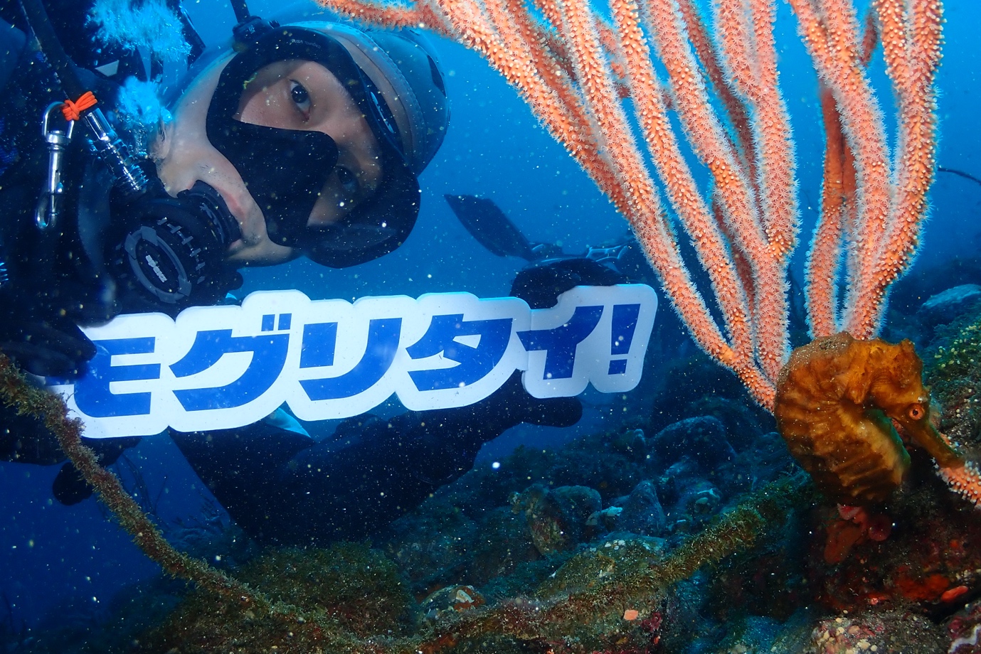 サンゴ礁の水中でモグリタイロゴを持つダイバー