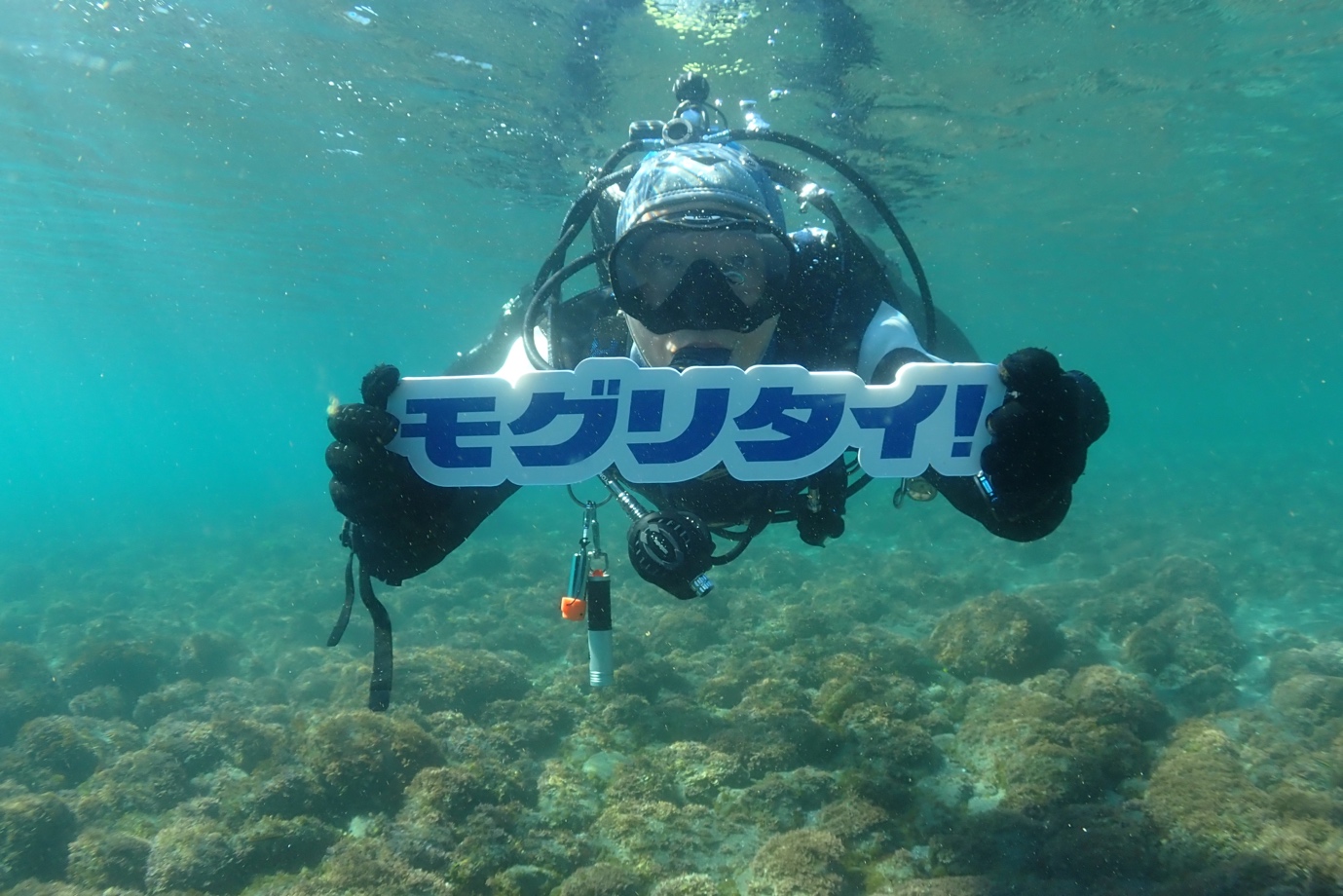 水中でモグリタイロゴを持つダイバー