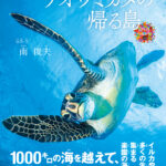 アオウミガメの帰る島 表紙