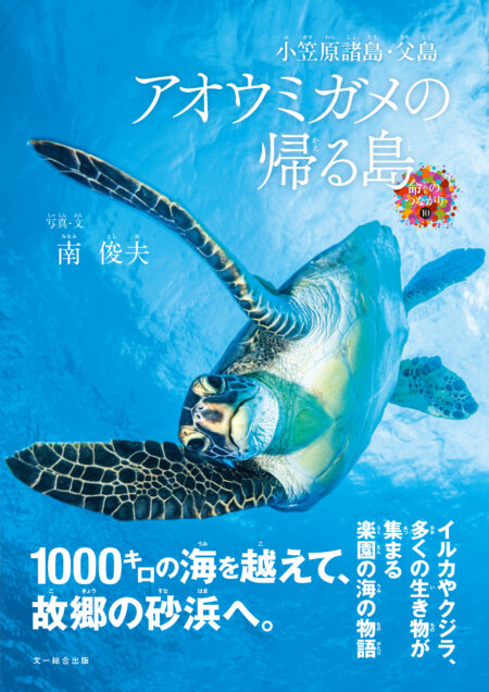 小笠原で28年——ダイビングガイド・南俊夫著『アオウミガメの帰る島』6月1日刊行