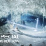 水中写真教室作品展　展示ビジュアル