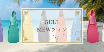 17,000円　GULL MEWフィン