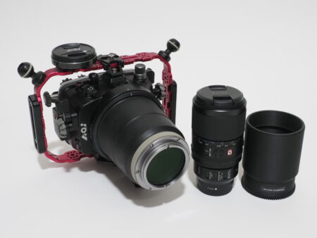 100mmマクロの常識が変わった。1.4倍撮影・高速AF・フルタイムDMF　SONY新世代マクロレンズSEL100M28GMを水中で使う