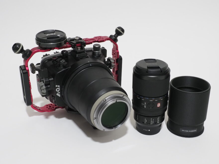 100mmマクロの常識が変わった。1.4倍撮影・高速AF・フルタイムDMF　SONY新世代マクロレンズSEL100M28GMを水中で使う