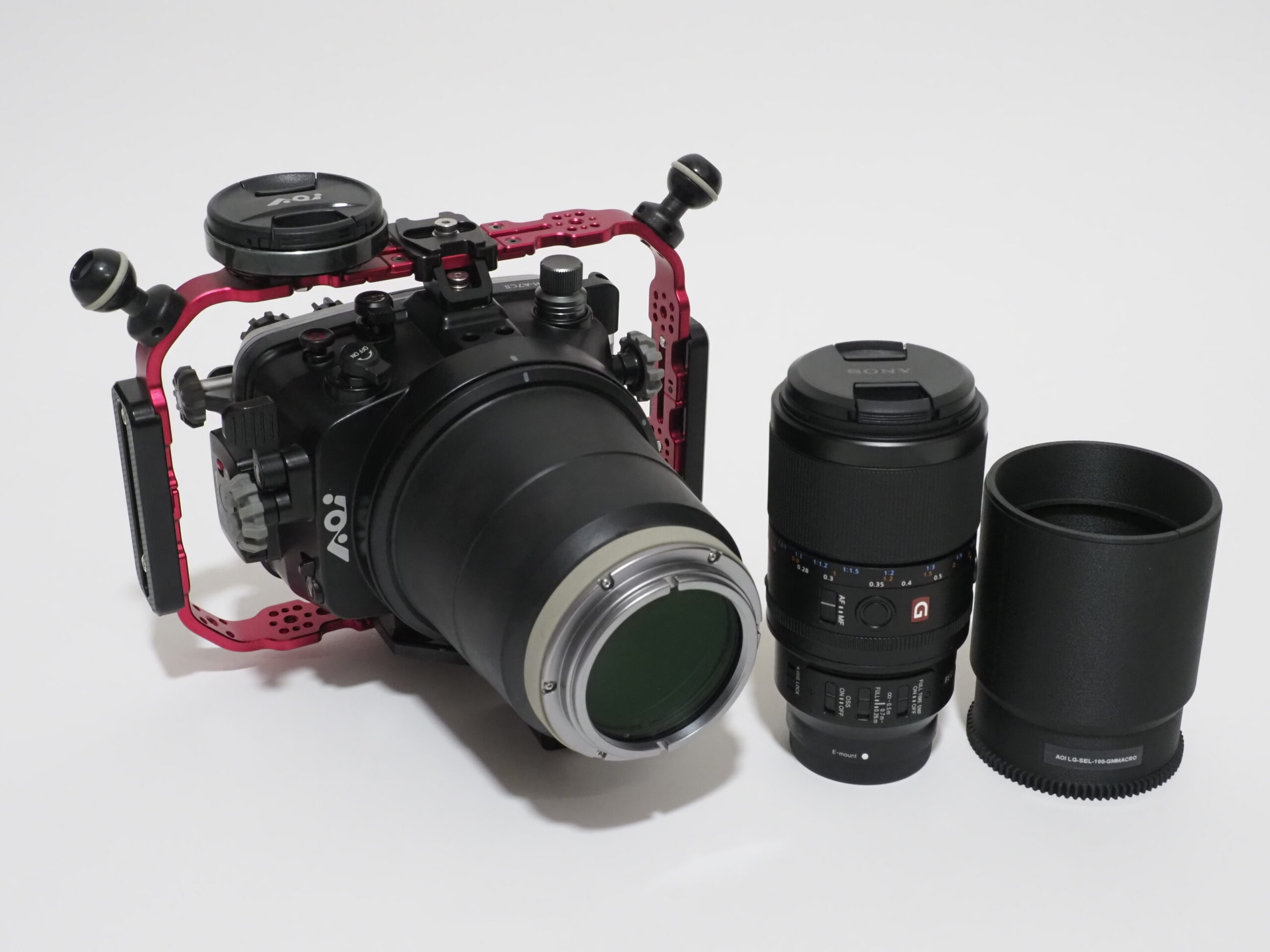 100mmマクロの常識が変わった。1.4倍撮影・高速AF・フルタイムDMF　SONY新世代マクロレンズSEL100M28GMを水中で使う