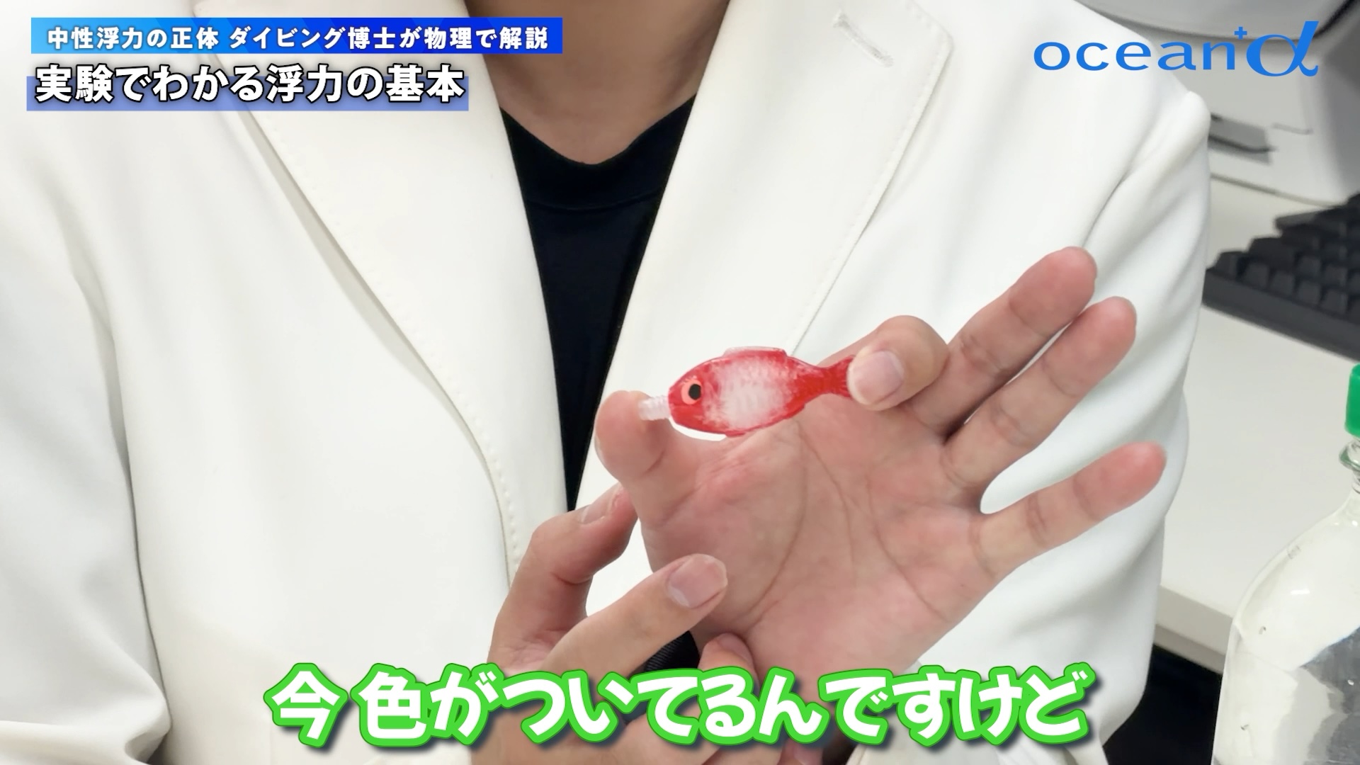 魚のおもちゃ