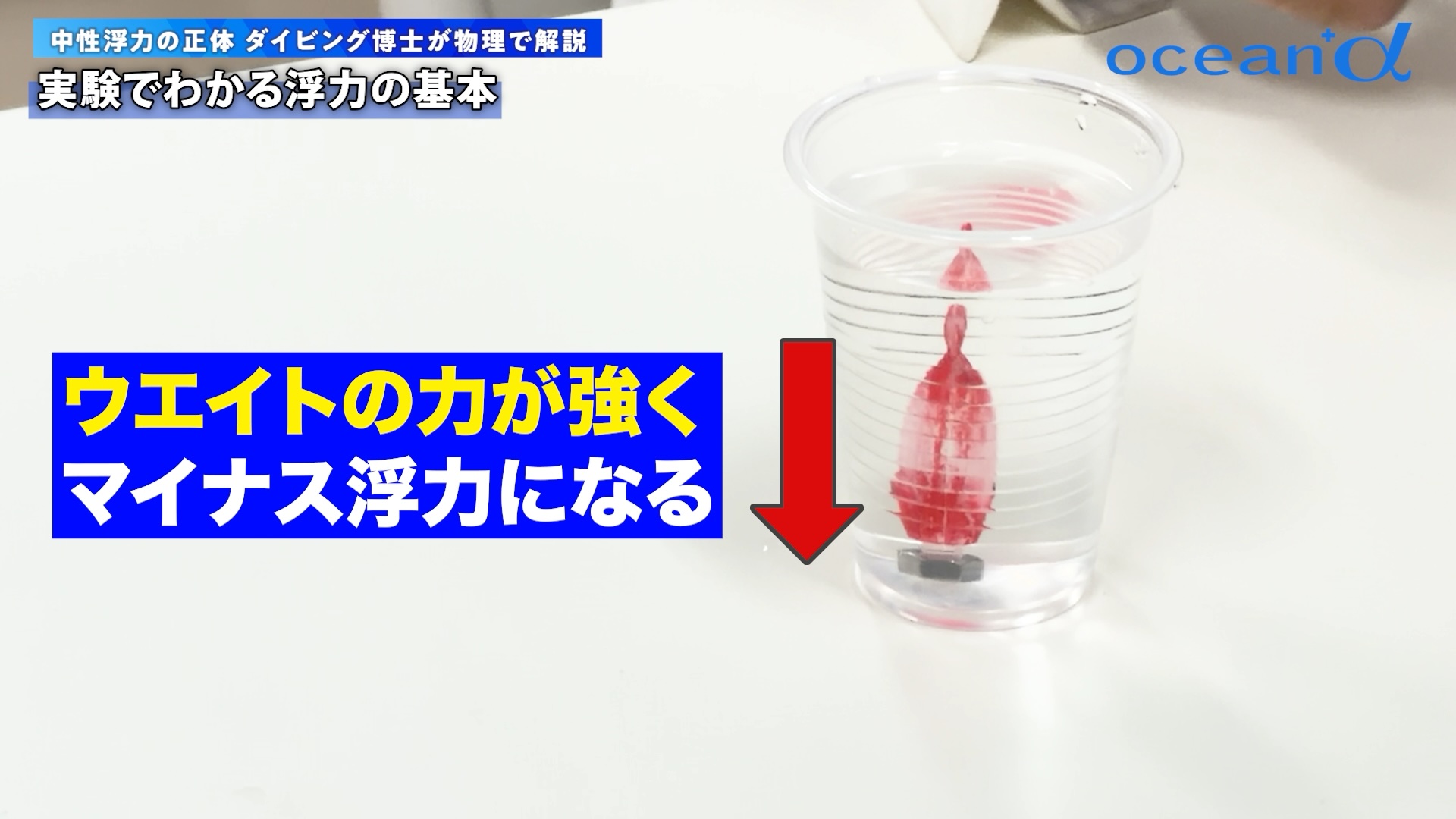 水を入れすぎて沈んだ魚のおもちゃ