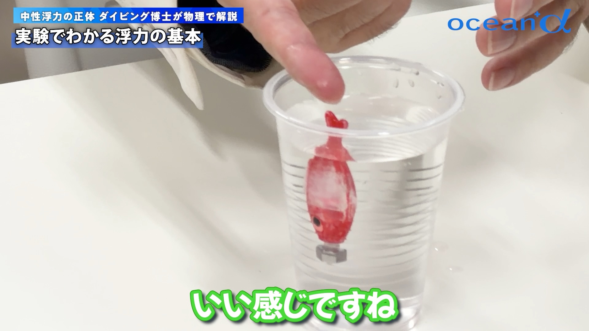 水量を調整して適正状態になった魚のおもちゃ