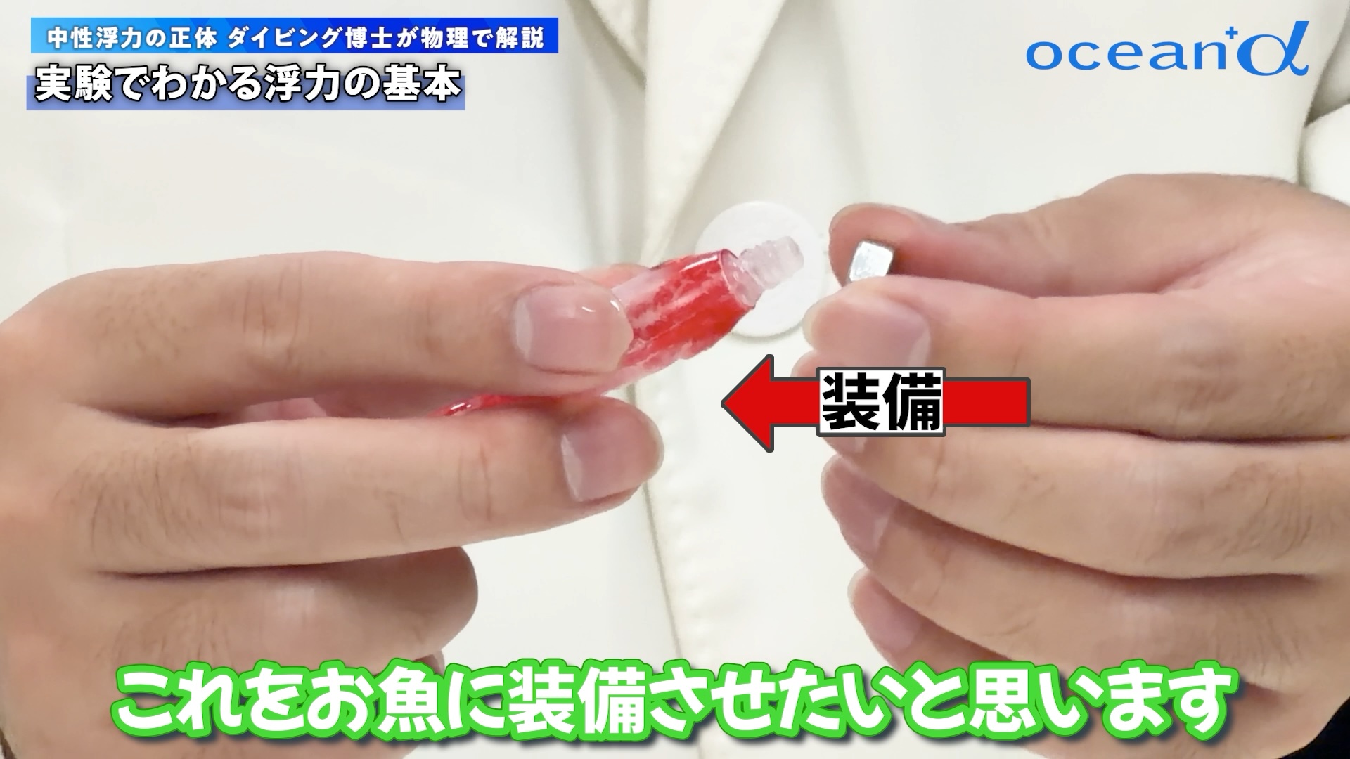 重りを付けた状態の魚のおもちゃ