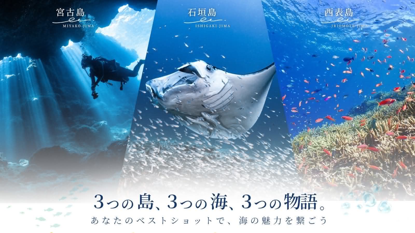 宮古・石垣・西表が初の合同開催！「宮古石垣西表水中フォトコンテスト2026」参加者募集中