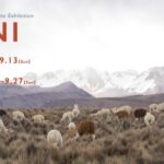 「AYNI」展DMビジュアル