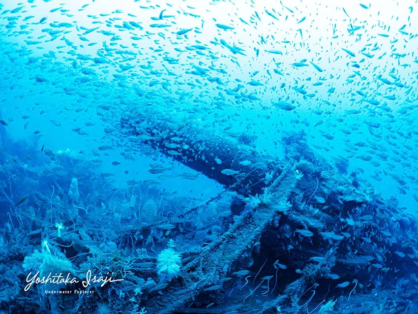 軍艦「長良」の砲と魚影