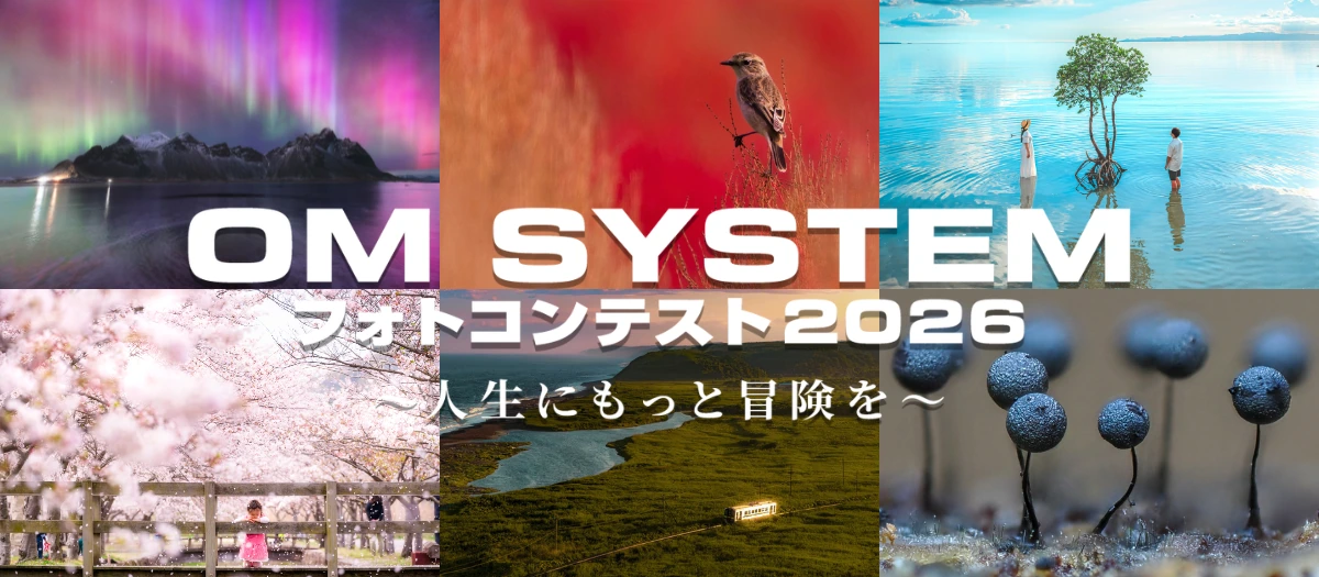 あなたの水中写真を応募しよう！「OM SYSTEM フォトコンテスト2026」水中部門が開催中