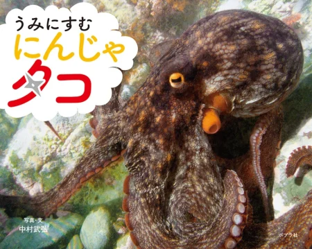 タコの足は“うで”だった？　写真絵本『うみにすむ にんじゃ タコ』8月刊行