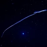 ホウキボシエソの稚魚（約20cm）。長く伸びた尾のように見えるのは、なんと腸。体外に長く伸ばすことで浮力を高めているといわれている。暗闇を漂う姿は、もはや魚というより宇宙からやってきたエイリアンのよう