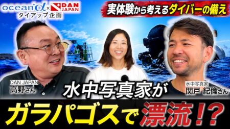 ダイビング保険は必要？ 水中写真家が経験した「漂流」と「耳のケガ」から考えるDAN JAPAN