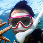 サンゴは動物 植物 それとも石 ダイビングと海の総合サイト オーシャナ